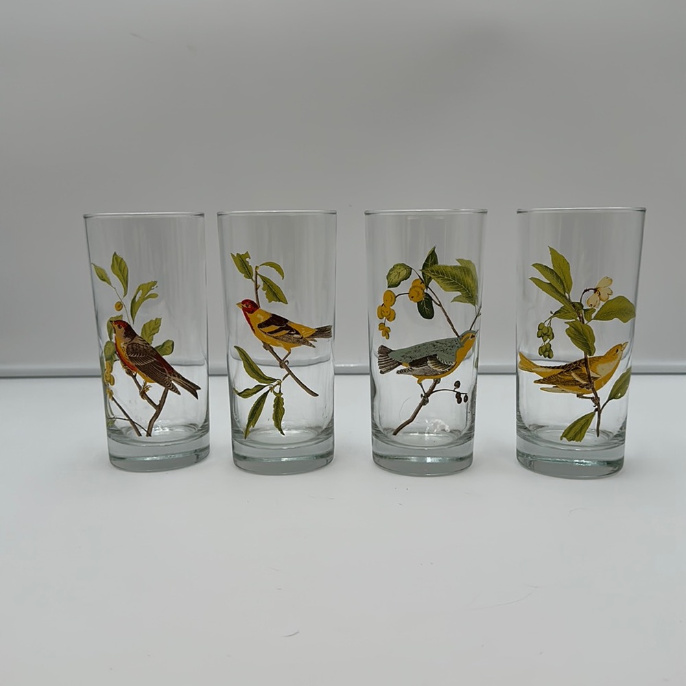 Set of 4 Vintage West Virginia Glass AMERICAN SONGBIRDS Flat Tumblers Glasses